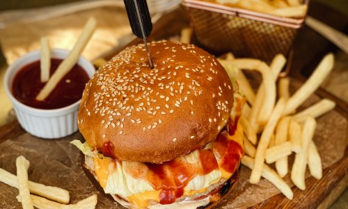 Chicken Burger + Fries