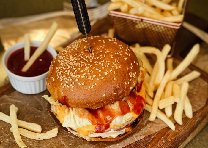 Chicken Burger + Fries
